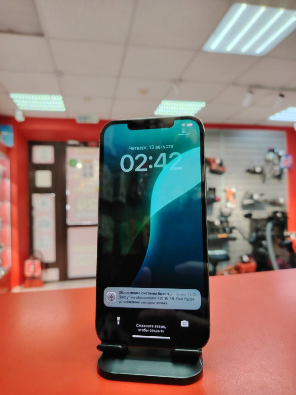 Мобильный телефон Apple iPhone 12 Pro Max
