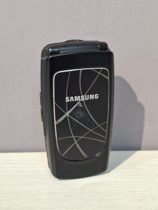 Мобильный телефон Samsung SGH-X160